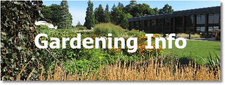Toronto landscaping; gardening info