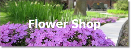 Toronto online flower shop; iPhone Florist